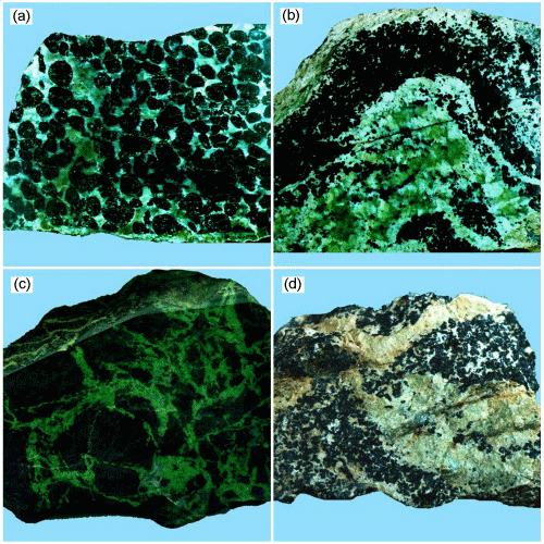 2006ES000196-fig09.html