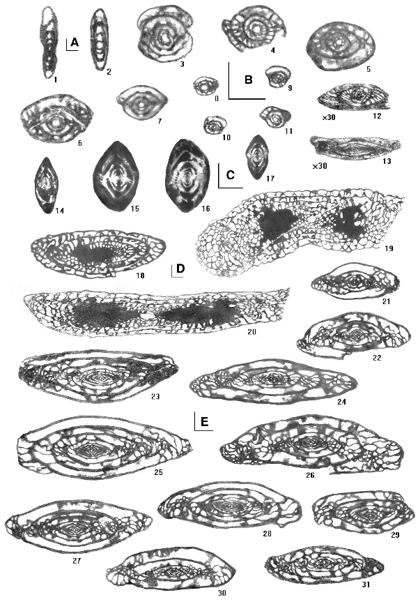 2006ES000200-fig04.html