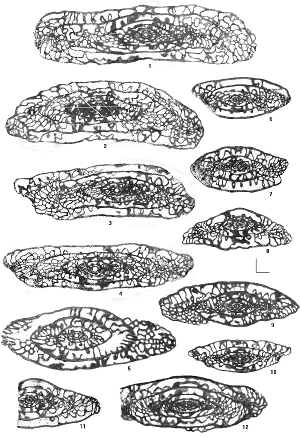 2006ES000200-fig06.html
