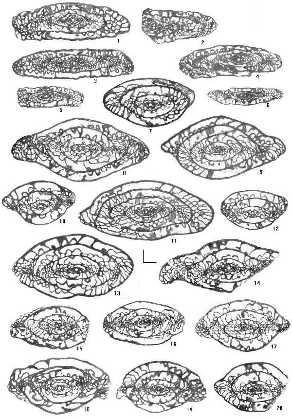 2006ES000200-fig08.html