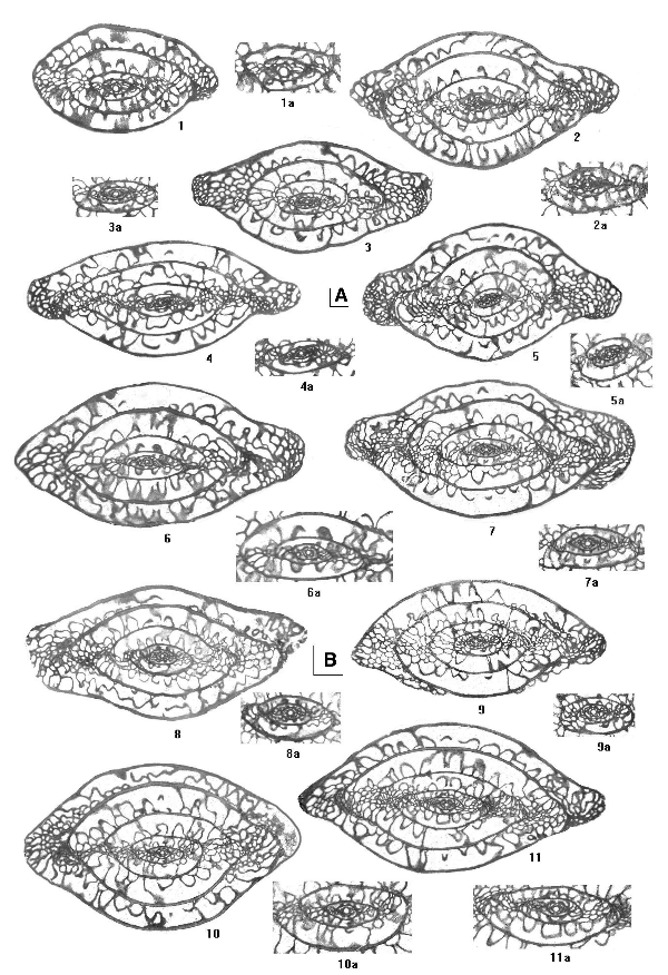 2006ES000200-fig09.html