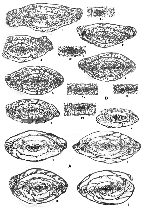 2006ES000200-fig10.html