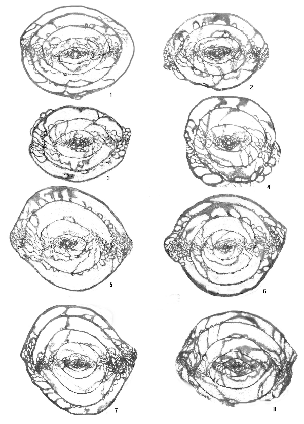 2006ES000200-fig11.html
