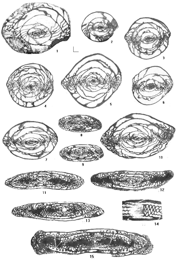 2006ES000200-fig12.html
