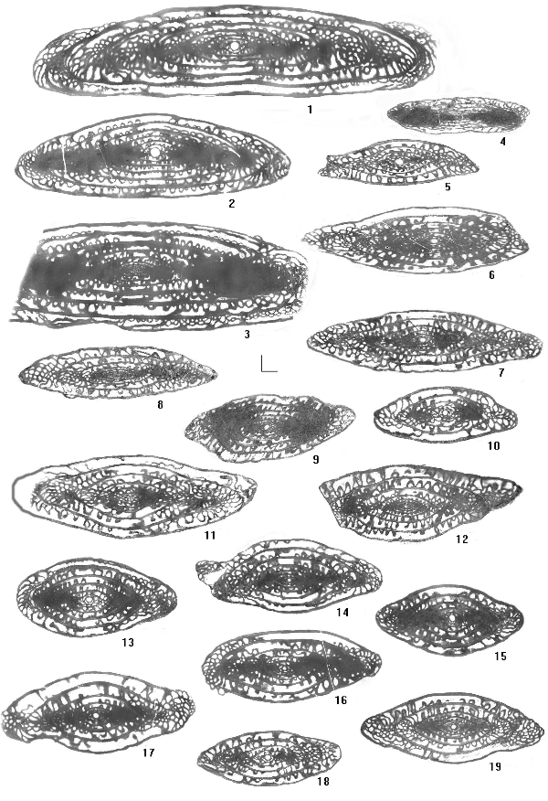 2006ES000200-fig13.html