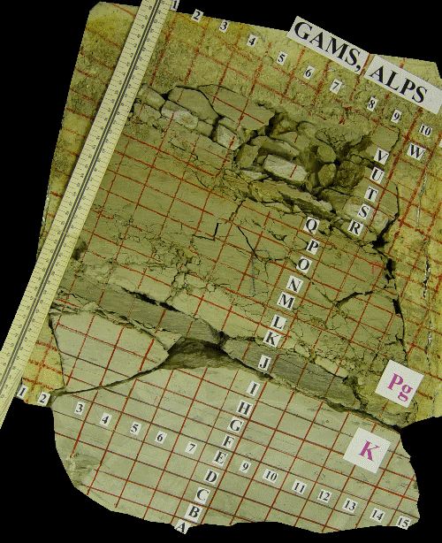 2006ES000204-fig01.html