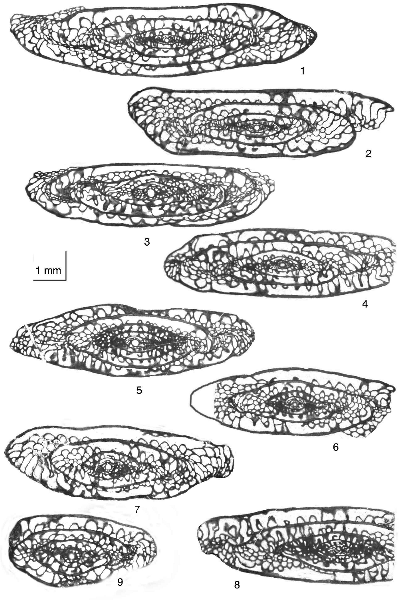 2007ES000219-fig07.html