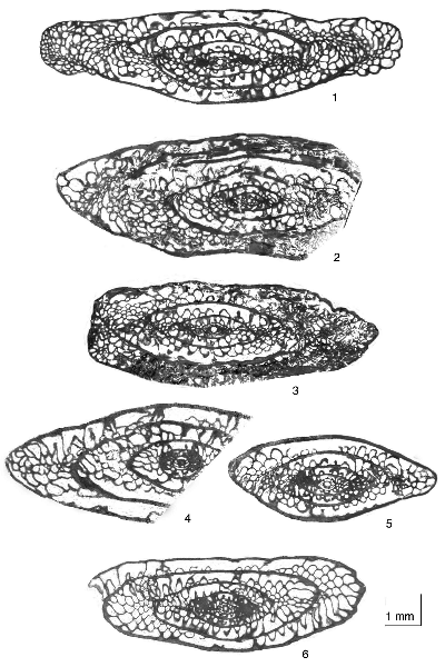 2007ES000219-fig08.html