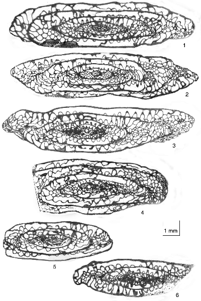 2007ES000219-fig09.html
