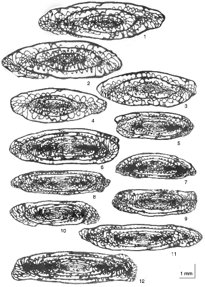 2007ES000219-fig10.html