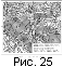 fig25