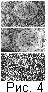 fig04