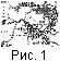 fig01