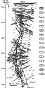 fig02