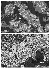 fig04