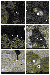 fig05
