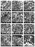 fig08