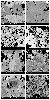 fig09