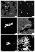 fig14