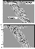 fig14