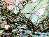 fig05