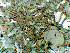 fig07