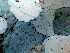 fig08