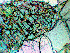 fig10