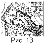 fig13