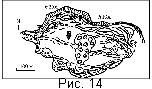 fig14