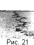 fig21
