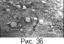 fig36