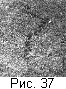 fig37