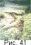 fig41