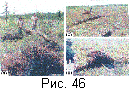 fig46