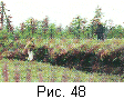 fig48