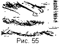 fig55