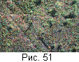fig51