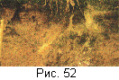 fig52