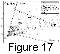 fig17