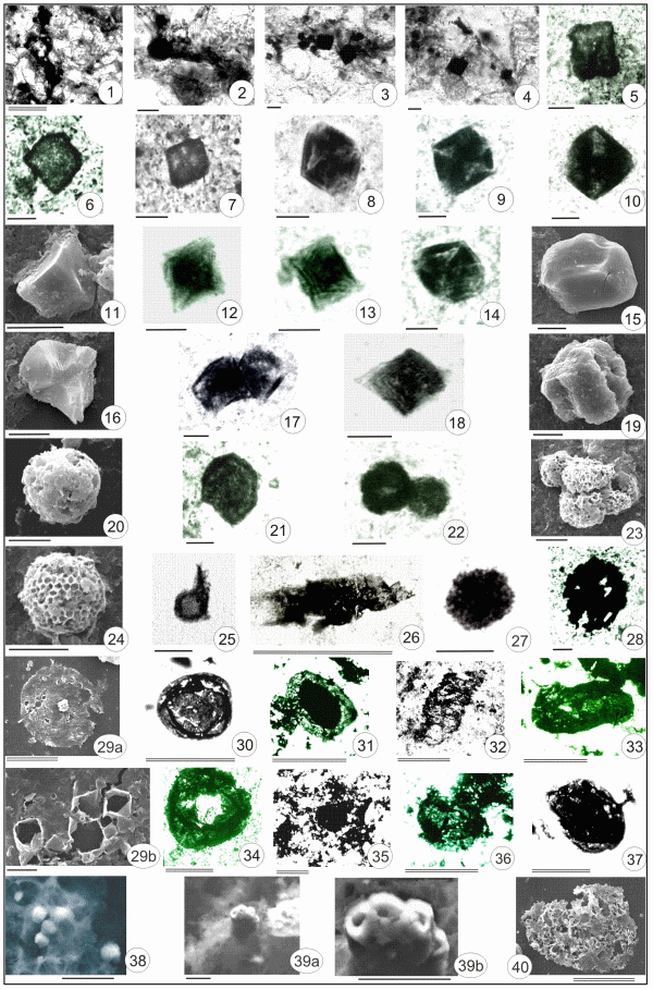 2005ES000183-fig07.html