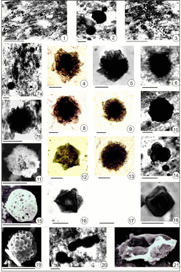2005ES000183-fig09.html