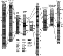 2005ES000187-fig05