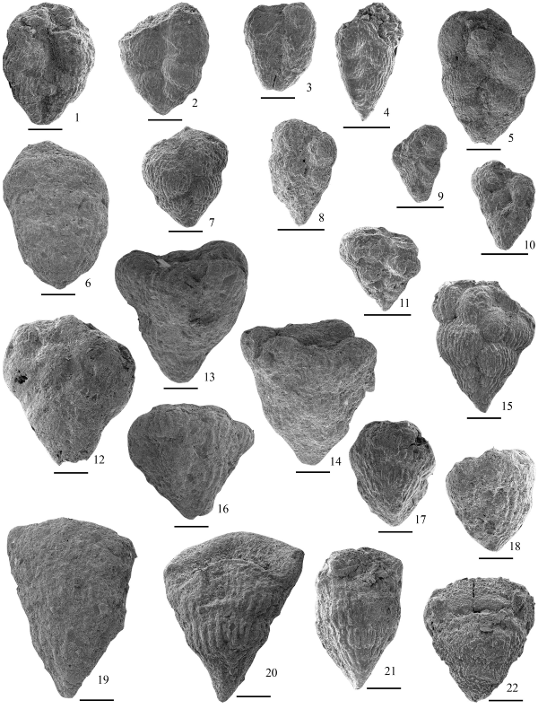 2005ES000189-fig09.html