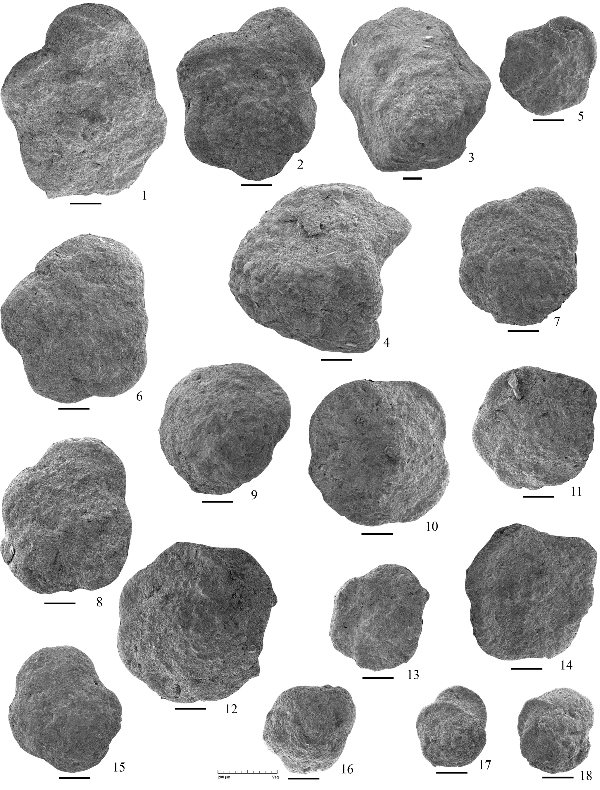 2005ES000189-fig10.html