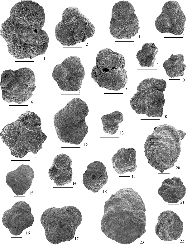 2005ES000189-fig12.html